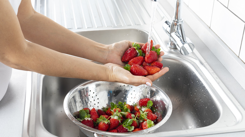 Washing strawberries in sink