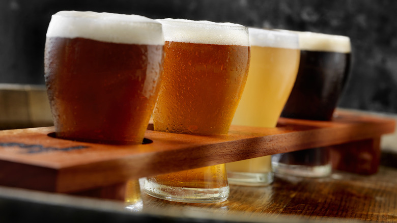 A craft beer sampler pack