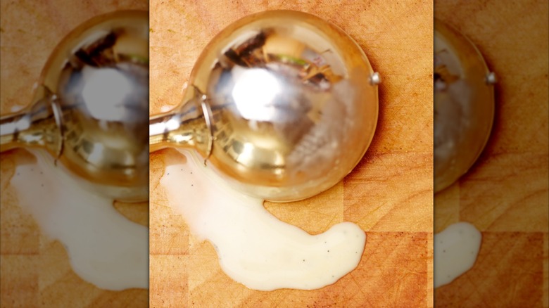 Ice cream scoop with a puddle of melted ice cream