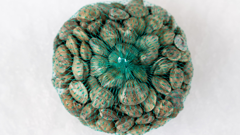 bag of fresh clams
