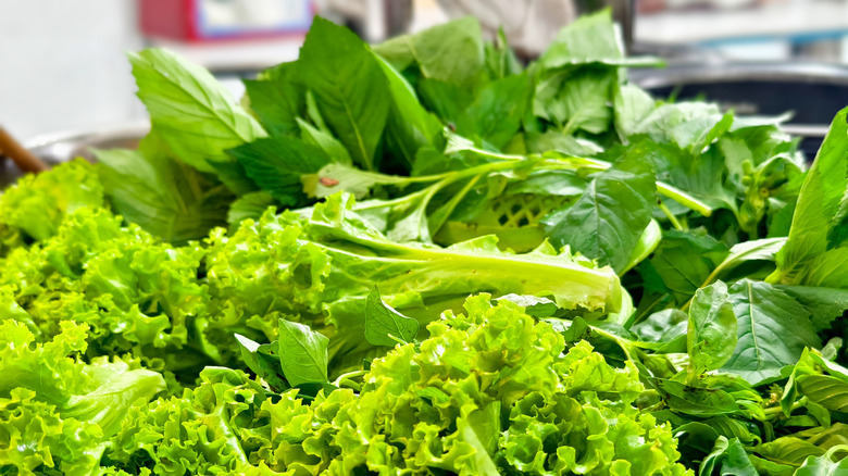 Close up of leafy greens piled together