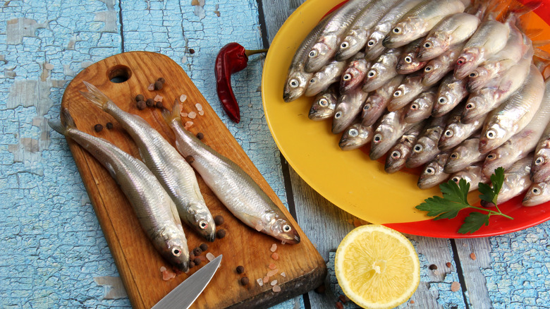 Fresh smelt fish