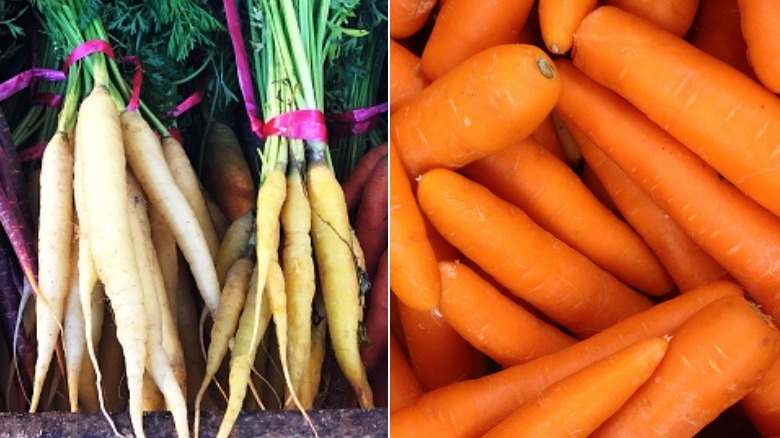 wild carrots and domesticated orange carrots