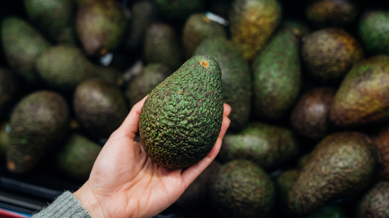 Person shopping for avocados at the grocery store and holding one in their hand