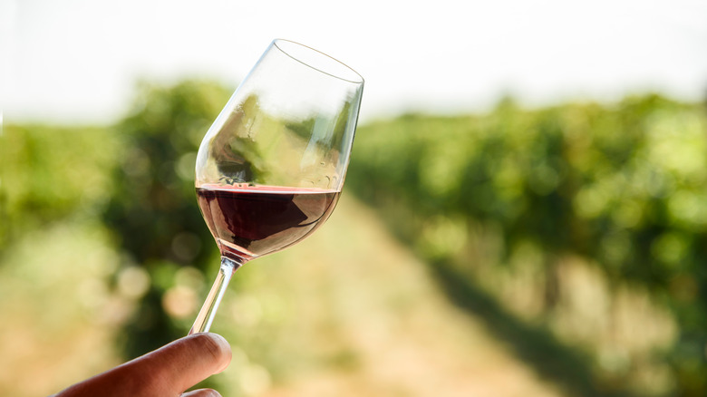 Holding a glass of red wine