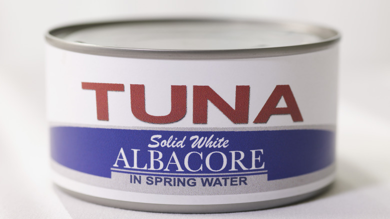 canned tuna one white background