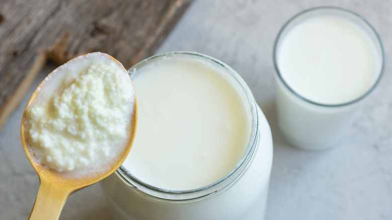 spoonful of kefir