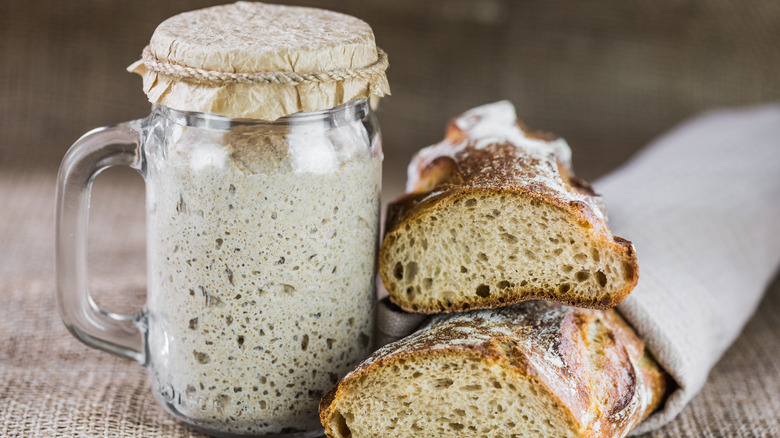 Sourdough starter and bread