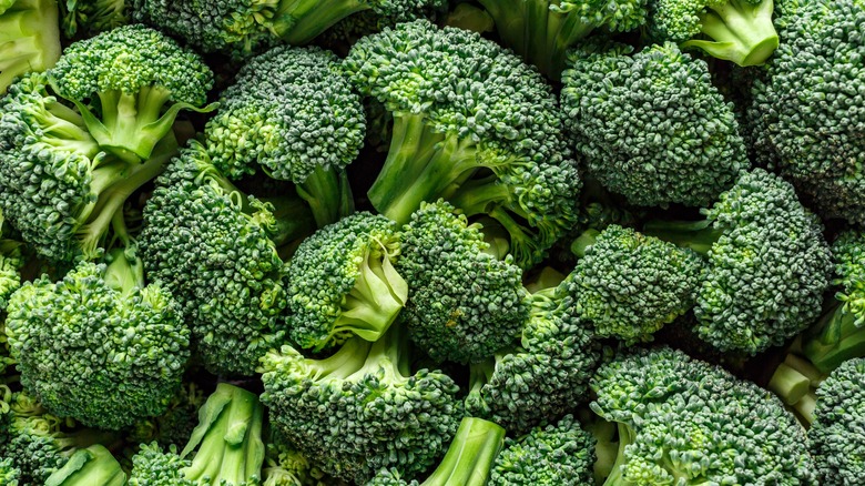 florets of raw broccoli