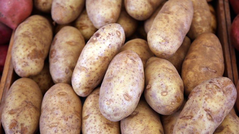 pile of potatoes