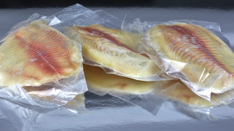 Vacuum-sealed tilapia filets on a metal table.