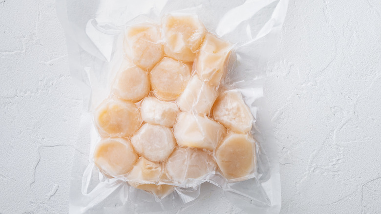 frozen scallops on white background