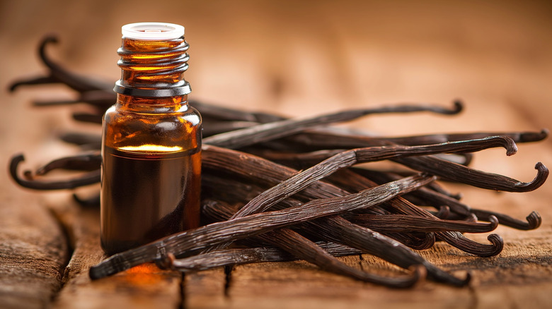 A bottle of vanilla extract sits next to whole vanilla pods
