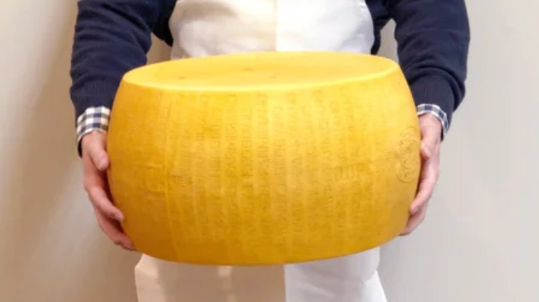 Man holding Whole Wheel Parmigiano Reggiano