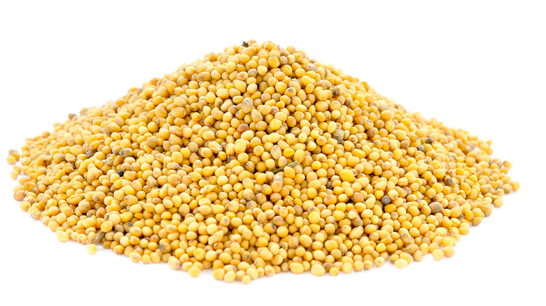 dry mustard seeds