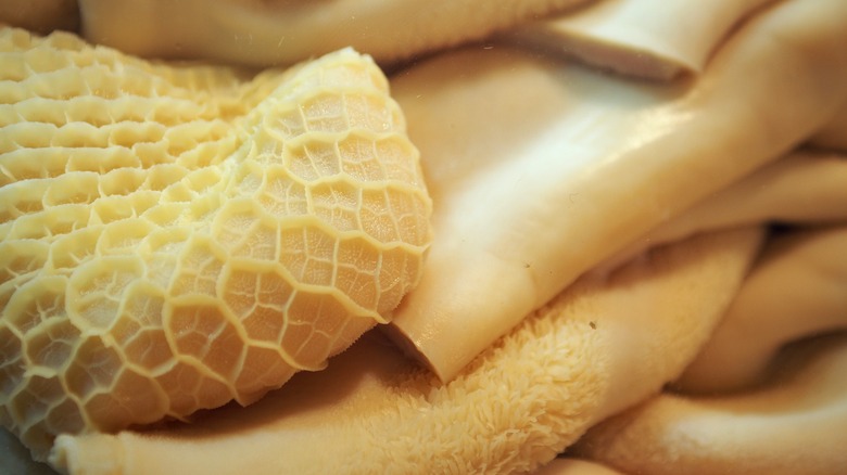 Close up of honeycomb beef tripe