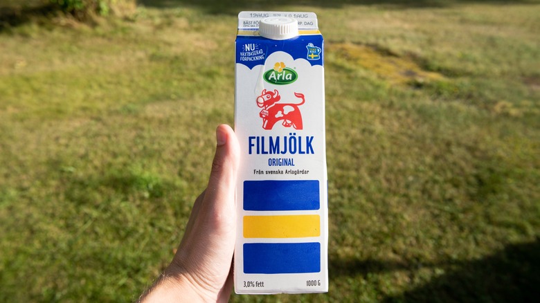 Hand holding a carton of Filmjölk