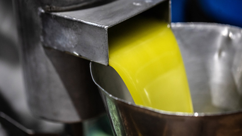 Green olive oil pouring from machine