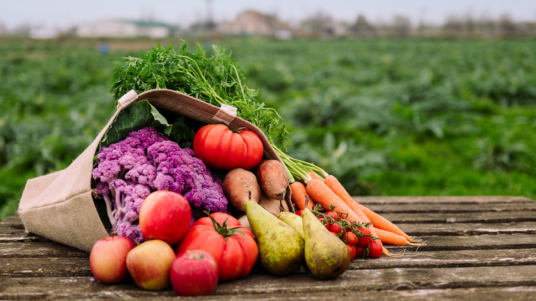 Bag of fruits and vegetables