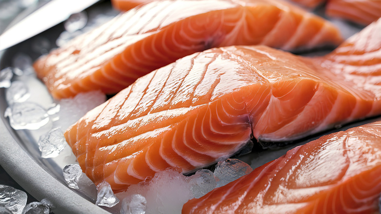 Raw salmon fillets