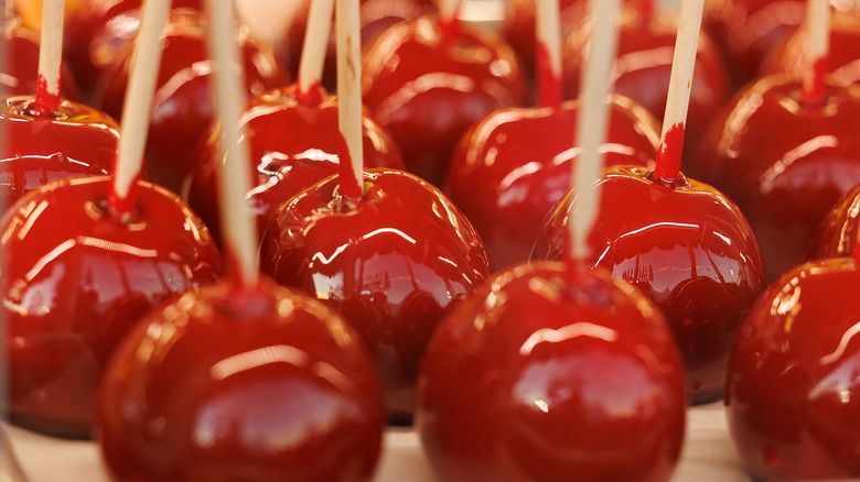 Rows of red candied apples drying