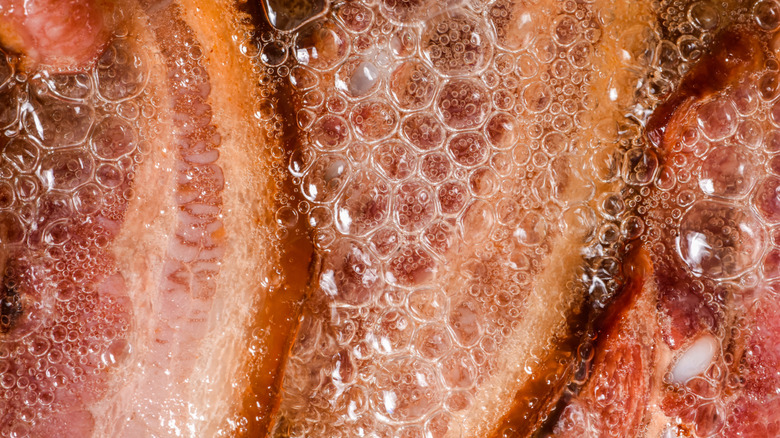 Bacon cooking in grease