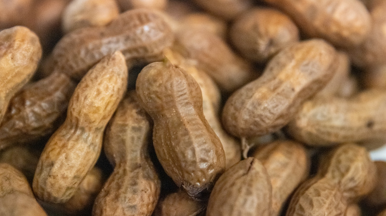 Close-up of fresh boiled peanuts