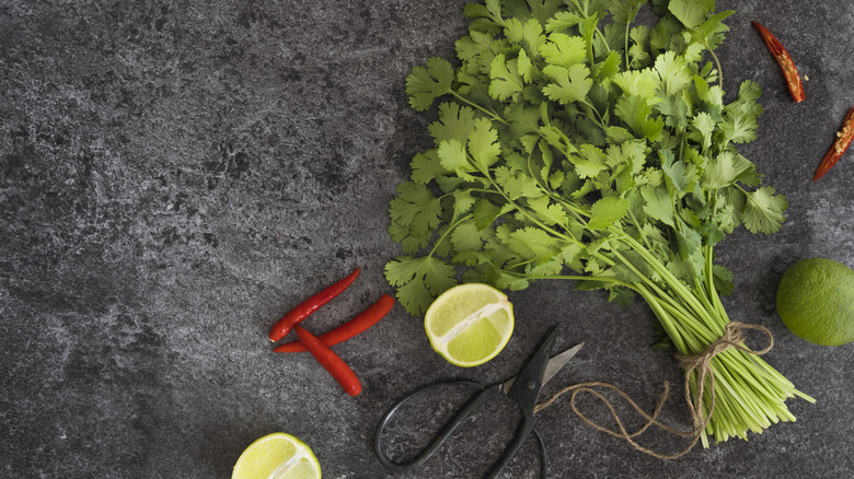 Fresh coriander, chili and lime