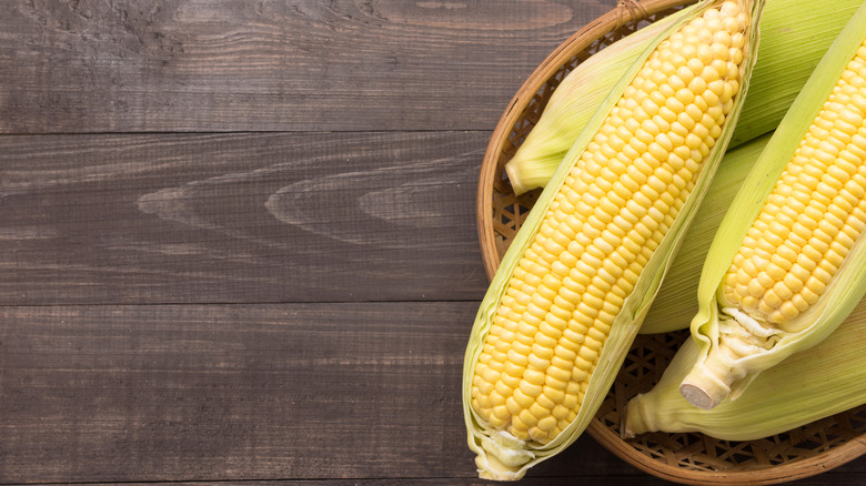 ears of corn on the cob