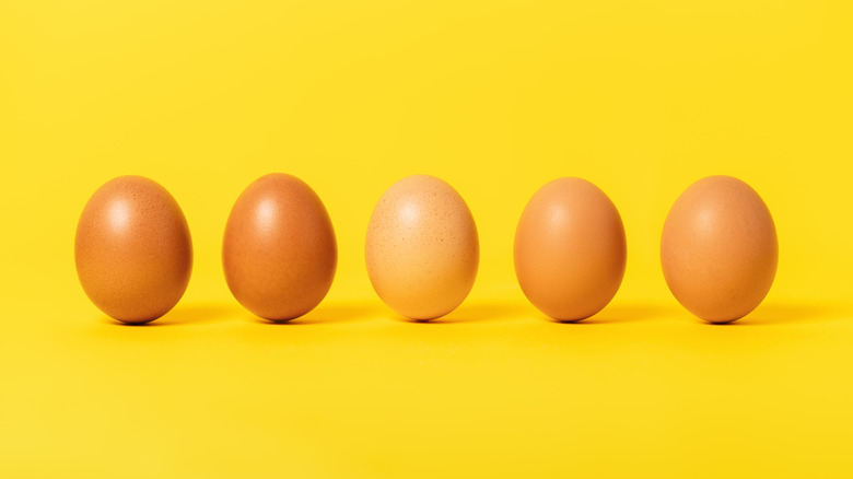 Five brown eggs lined up on a bright yellow background