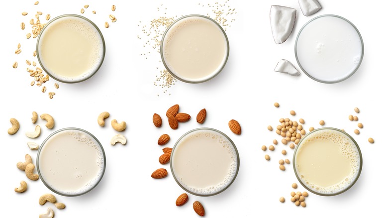 variety of plant-based milks