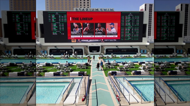Stadium Swim bar and screen