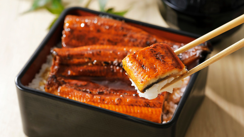 grilled eel over rice