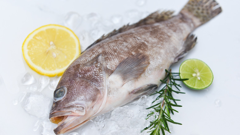 grouper fish with lemon