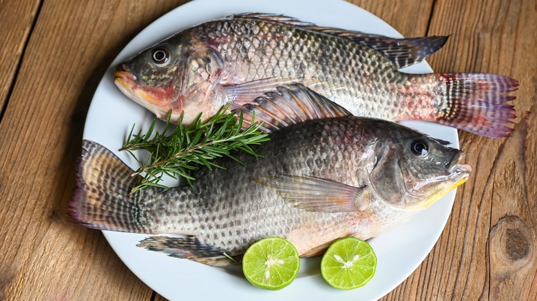 tilapia on plate with seasonings