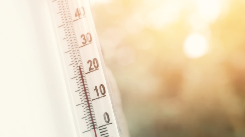 Thermometer in the sun