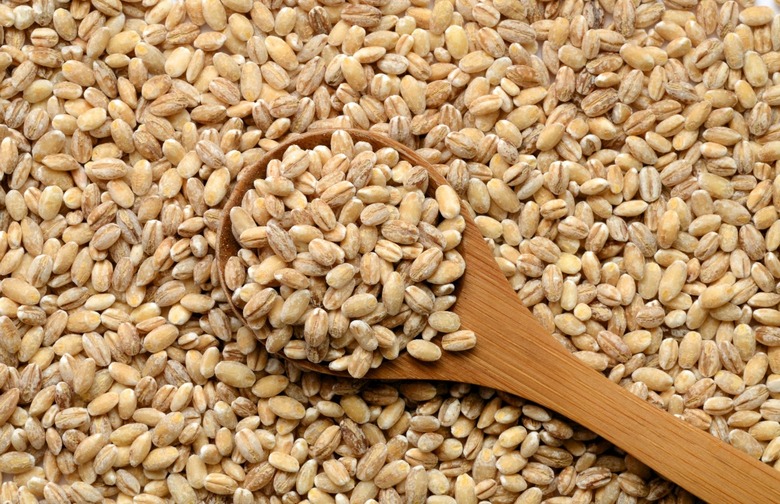 Barley