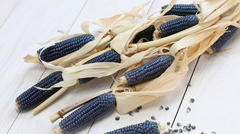 Blue corn with kernels removed
