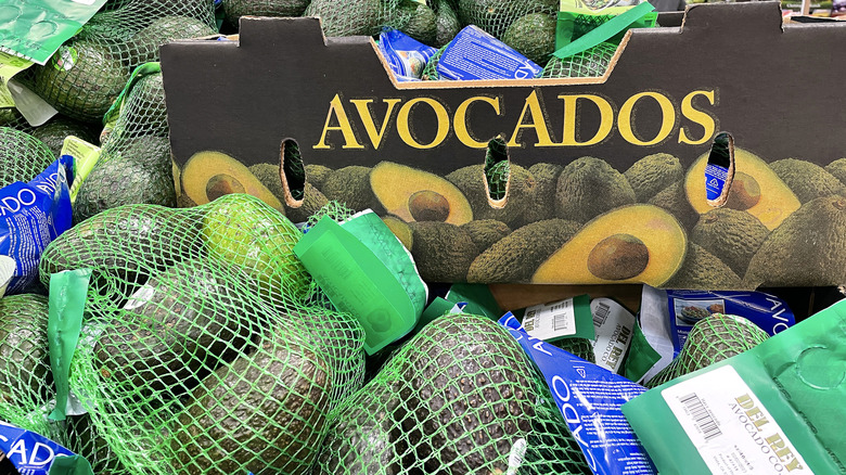 Avocados in Costco store