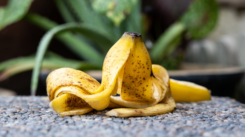 Crumpled banana peel