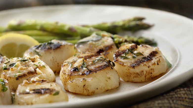 Grilled scallops with herbs