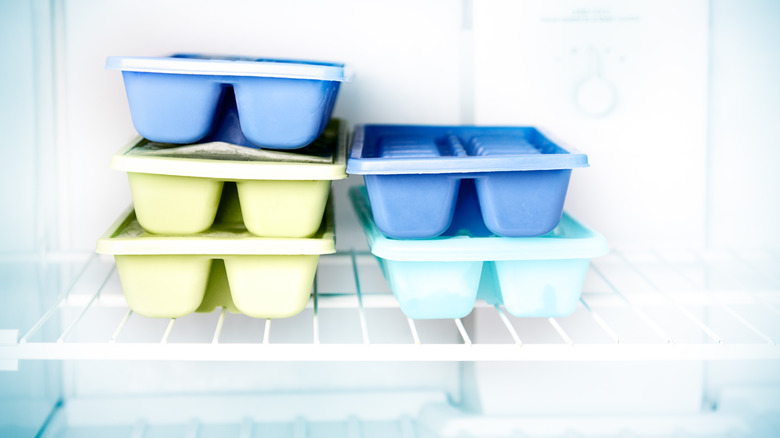 ice cube trays in freezer