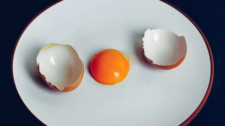 Single egg yolk with cracked egg shell on white plate