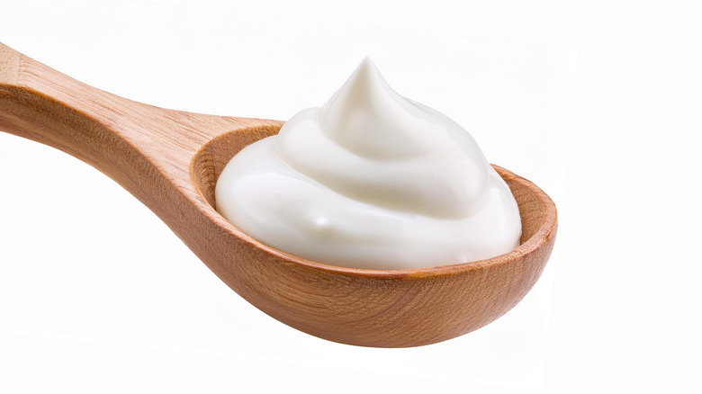 Wooden spoonful of sour cream