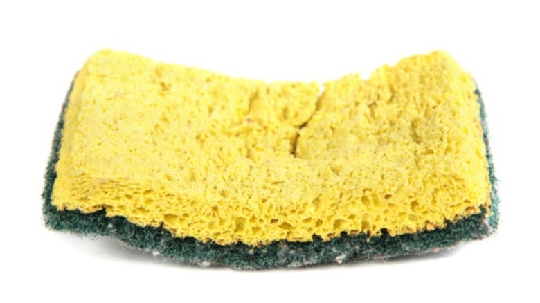 Old, yellow dish sponge on a white background