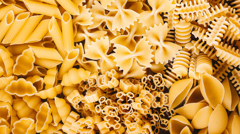 Various dried pasta shapes