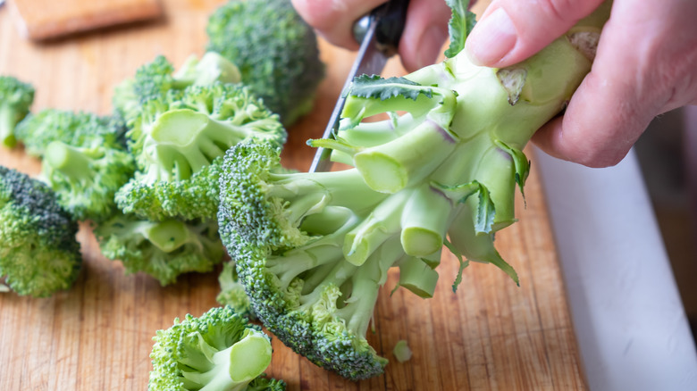Person trimming broccoli, holding it by its stalk