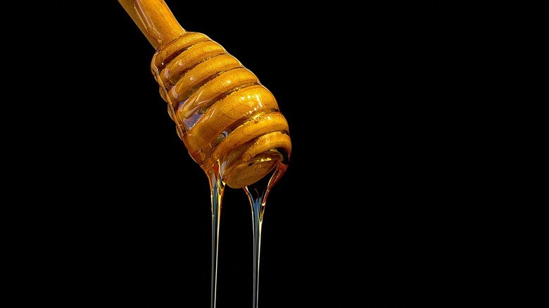 Honey dipper with dripping honey