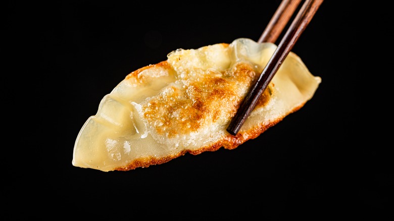 chopsticks holding fried dumpling