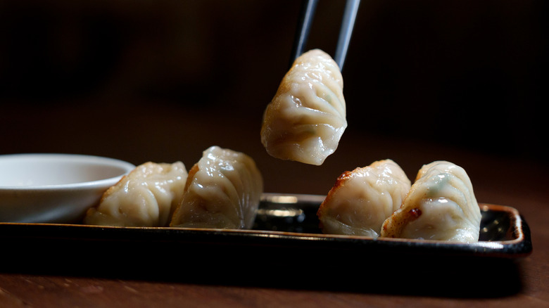 chopsticks grabbing dumpling off plate